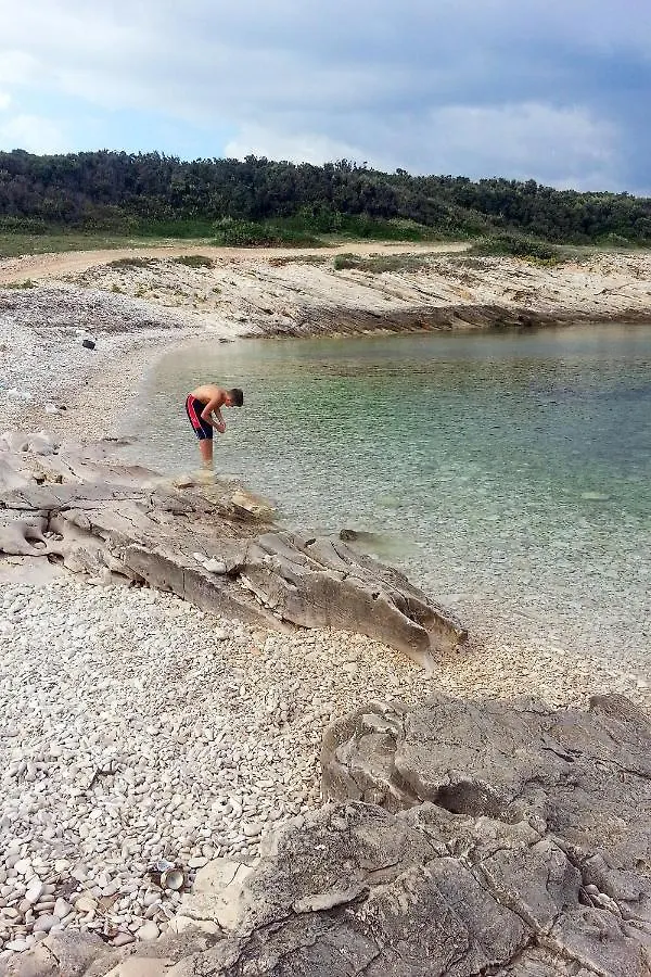 Family Friendly Apartments With A Swimming Pool Sisan, Medulin - 7243 Croatia