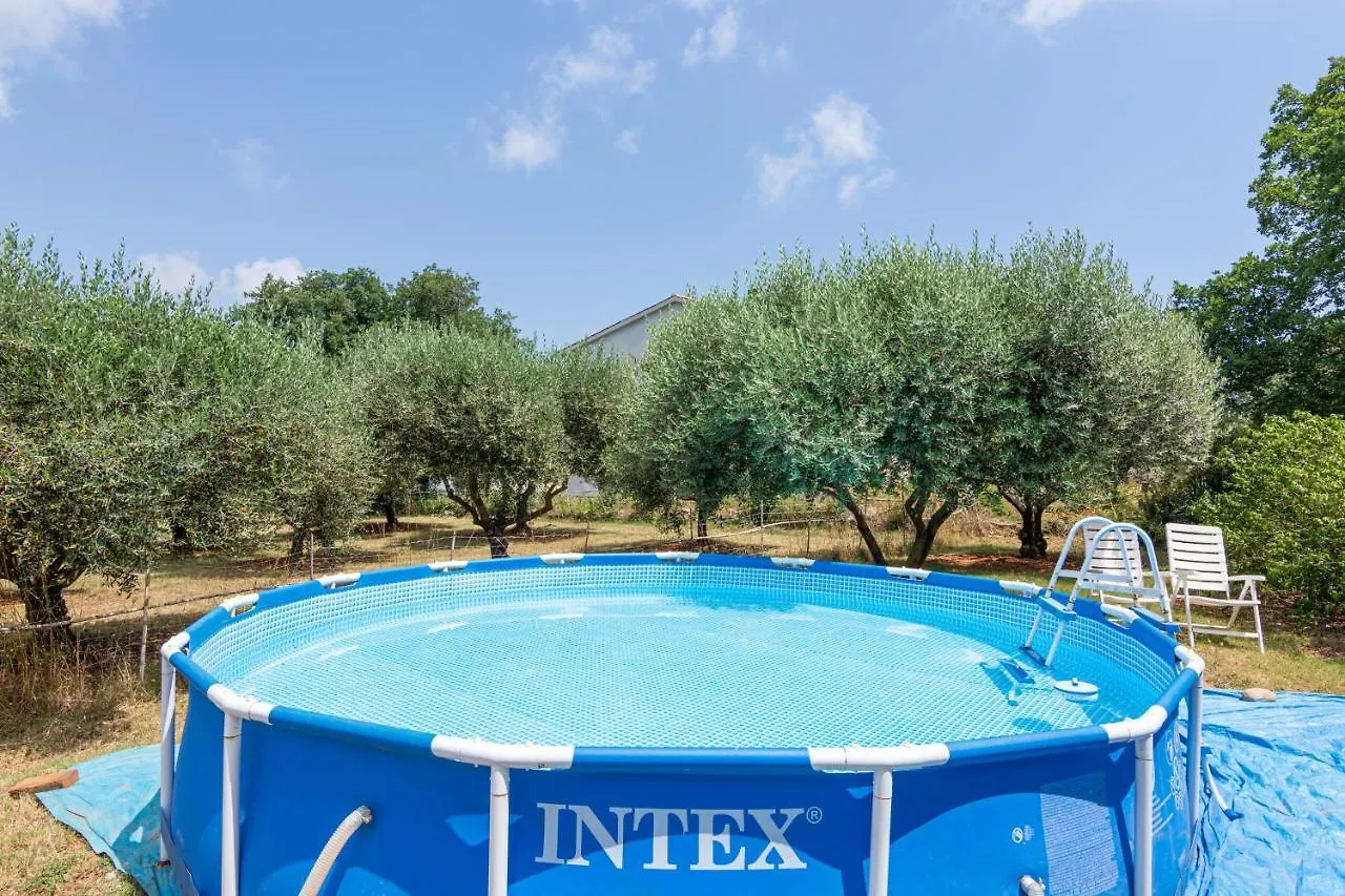 Family Friendly Apartments With A Swimming Pool Sisan, Medulin - 7243